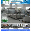 Mineral Water Plant Machinery (WD24-24-8)